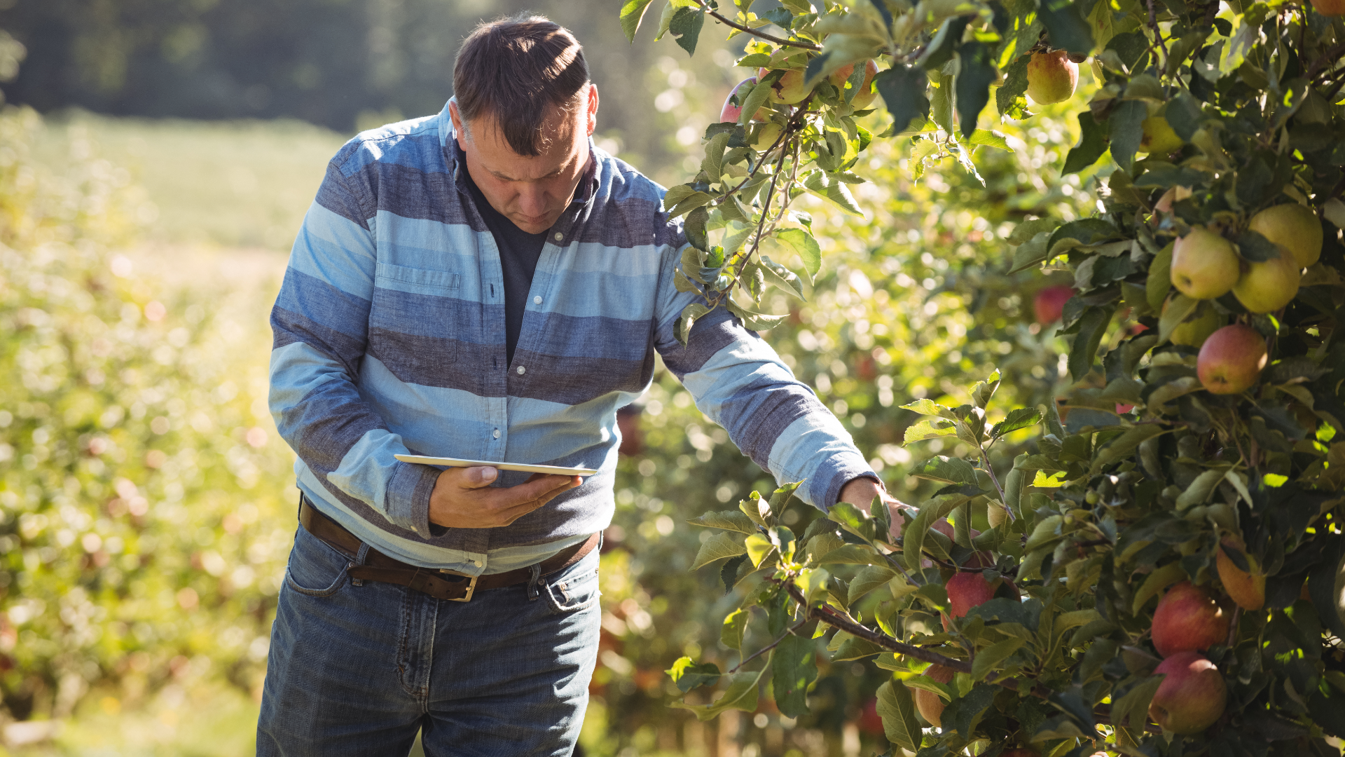 Vous êtes agriculteur